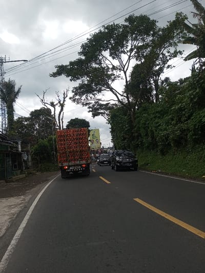 This image depicts a road scene in Gubbisamamidi, India, under an overcast sky. The paved road features a yellow double solid line indicating two lanes of traffic and a white solid line marking the left shoulder. A dark-colored truck, heavily loaded with stacked reddish-orange rectangular items, is centered in the left lane, its rear and red taillights visible. In the opposing right lane, a black SUV is prominent in the foreground, with additional vehicles visible behind it in a line of traffic. The right side of the road is bordered by dense green foliage, including large trees and shrubbery. On the left side, a tall metal utility pole or communication tower is visible, with power lines spanning across the upper frame. Partially obscured, dilapidated structures or small buildings line the left road edge behind the utility pole. In the mid-distance on the left, above the truck, a large yellow billboard displaying two male faces and text is partially visible. The overall environment suggests a semi-rural or peri-urban setting with active vehicular movement.