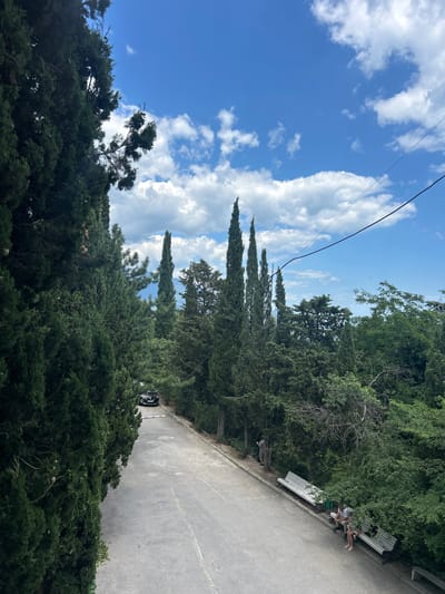 In the city of Livadiyskyi settlement council, Ukraine, a paved road winds uphill through a dense forest of tall, dark green coniferous trees. The road is lined with a white barrier gate near the bottom of the frame, where a black car is parked. Further up the road, two people are seated on a park bench under the shade of the trees, while another person stands near a tree on the opposite side of the road. The sky above is a bright blue, dotted with fluffy white clouds. The overall scene depicts a serene natural setting within a possibly urbanized area.