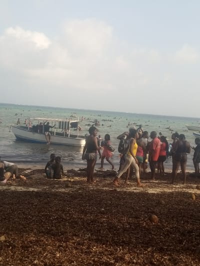 The scene depicts a bustling beach environment at Shanzu ward, Kenya, under a pale blue sky with scattered white clouds. The foreground consists of a thick, dark brown layer of organic matter, consistent with dried seaweed or detritus, covering the sand. Scattered among this debris are several brown coconuts.
On the beach, near the water's edge, numerous individuals are present. Two individuals are seated or kneeling on the organic matter, their backs appearing coated in a dark substance, facing away from the camera. A person wearing a yellow top and light-colored pants is walking barefoot from right to left across the organic matter. To their left, another individual in dark attire holds a dark, possibly inflatable, object. A group of several people, some wearing red or orange shirts, are standing together near the waterline.
In the shallow, turquoise water, a white and light blue motorboat with a striped canopy covering its stern is positioned. A person is observed hanging from the side of this boat, partially submerged. Another white boat is partially visible further right in the water. The ocean is densely populated with numerous individuals swimming, wading, and floating, extending towards the distant horizon where minimal wave activity is discernible.
