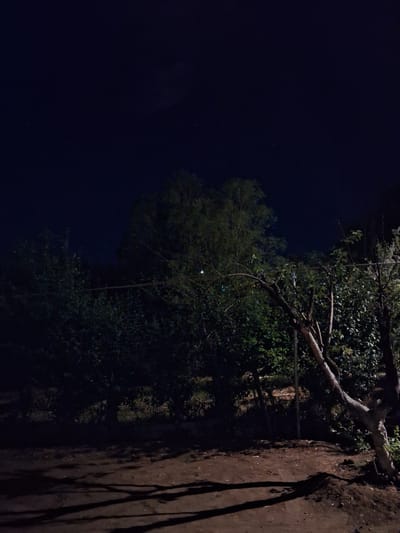The image depicts a dark, outdoor scene, likely at night. The foreground is a dirt ground with several long, dark shadows cast across it. In the mid-ground, there are trees and dense foliage, mostly dark green and appearing lush. A thin, horizontal line, possibly a wire or a clothesline, stretches across the middle of the frame. A few faint lights are visible in the distance, suggesting artificial illumination from an unknown source. The sky above is a deep, dark blue, with a few scattered, faint stars visible. The overall impression is one of a quiet, natural setting at night. There are no people or animals visible in the image, and no specific landmarks or recognizable structures that would definitively place it within the city of Yeghegnadzor, Armenia. However, the vegetation suggests a potentially rural or semi-rural area.