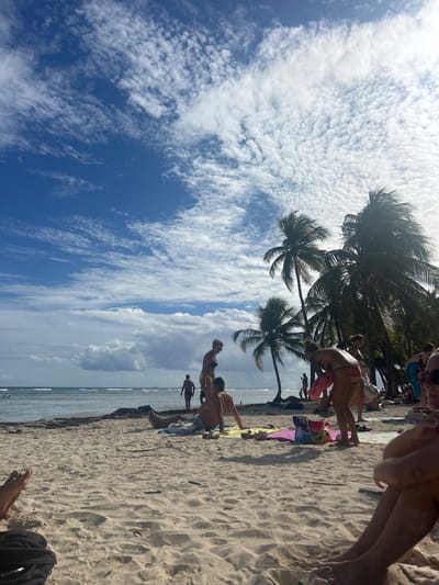The image depicts a beach scene in Sainte-Anne, France. The sky is partly cloudy with a mix of blue sky and puffy white clouds. Several palm trees line the beach, casting shadows on the sand. People are scattered across the beach, some standing and some lying on towels. Individuals appear to be relaxing and enjoying the beach, with the ocean visible in the background. The foreground shows sand and partial views of people seated or standing close to the camera.