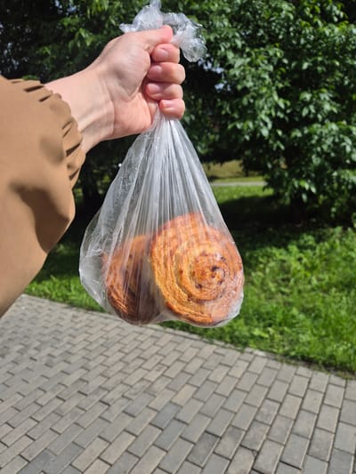 A first-person perspective shot shows a hand holding a clear plastic bag containing two cinnamon rolls. The rolls are golden brown with visible swirls of cinnamon. The hand is holding the bag tightly, and the fabric of a light brown garment is visible at the bottom of the frame. In the background, lush green trees and grass suggest an outdoor setting. To the right of the frame, a gray brick pathway is visible, indicating a paved area. The lighting suggests it is daytime, likely a sunny day. The scene appears to be a casual moment, perhaps walking outside with a treat. The location context provided is Petrozavodsk, Russia. No visible text is present in the image.