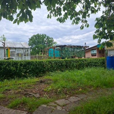 The image depicts an outdoor scene in Hermsdorf, Germany, likely a garden or allotment. In the foreground, there is rough, overgrown grass and a section of cracked concrete paving slabs. A dense green hedge runs horizontally across the mid-ground, separating the viewer from the structures behind it.

Behind the hedge, several structures are visible. To the left, a large, somewhat dilapidated greenhouse or shed with a translucent roof and paneling is present. Attached to its side is a small, brightly colored birdhouse with yellow and green sections. To the right of the greenhouse, a wooden pergola structure is partially covered with green netting and some climbing plants. Further to the right, a small, pale pink building with a dark brown roof is visible, featuring a window with blue-green blinds. Next to this building, a large, bright blue cylindrical water tank stands.

The background consists of mature trees, a wooden fence, and an overcast sky with visible clouds. The overall impression is one of a somewhat untidy, lived-in outdoor space. No people are present in the image.