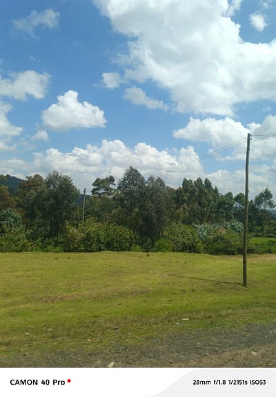 The image displays an outdoor, semi-rural landscape located in Kitengela ward, Kenya. The scene is under a clear blue sky dotted with numerous white cumulus clouds. A dense horizon line of various green trees and bushes occupies the midground, with some foliage appearing as tall, slender trees and others as lower, denser shrubs. A large, open expanse of green grassy terrain forms the foreground. At the extreme bottom, a narrow strip of dark, gravelly ground is visible, indicative of a dirt road or shoulder. A tall, unpainted wooden utility pole stands vertically on the right side of the frame, extending from the bottom into the upper quadrant. Two thin wires are strung horizontally from this pole, extending leftward into the tree line. A second, partially obscured utility pole is visible further back within the trees on the left side. The prominent utility pole casts a long, thin shadow diagonally across the grassy field towards the lower-left. No individuals, animals, or specific actions are depicted. The scene is illuminated by direct daylight, indicated by bright lighting and distinct shadows.
