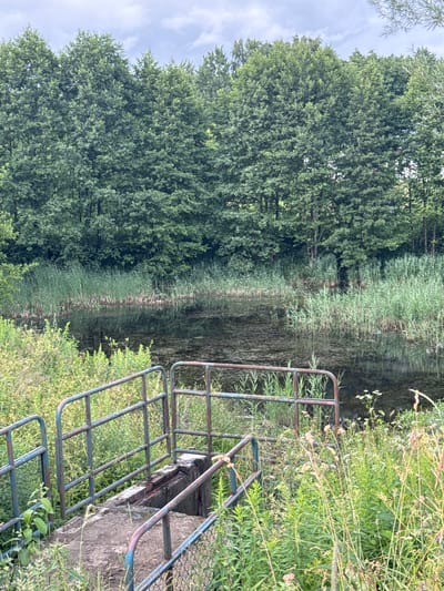 The image depicts a natural scene with a body of water and surrounding vegetation. In the foreground, there is a weathered metal railing system, painted blue and red, with some rust evident. The railing is attached to a concrete structure that appears to be a small bridge or pathway leading towards the water. Tall green grasses and reeds grow densely on the banks of the water, which is partially covered with algae or pond scum. In the background, a thick line of lush green trees forms a dense forest. The sky above is overcast with grey clouds. The location is identified as near Шчомысліцкі сельскі Савет, Belarus. There are no people or animals visible in the image.