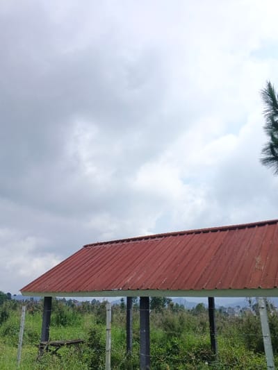 A red, corrugated roof structure stands amidst lush greenery under an overcast sky. The roof is supported by posts, creating a shelter. Behind the structure, a landscape of dense green vegetation stretches towards the horizon. A few blurred buildings are seen in the distance. The foreground is filled with overgrown grass and foliage. A barbed wire fence partially frames the scene. A pine tree branch is visible at the top right corner.