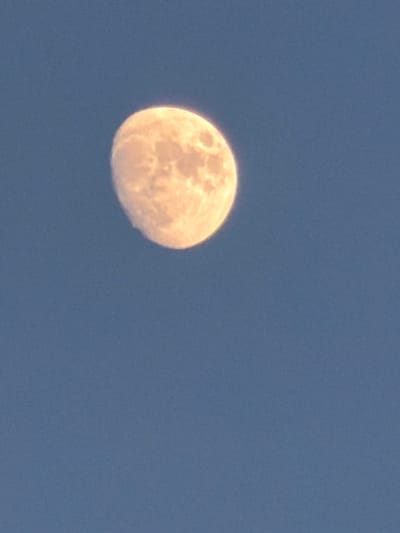 A slightly out-of-focus image shows the moon in a clear, deep blue sky. The moon is a pale yellow, and its surface details, such as craters and maria, are visible. It appears to be a gibbous moon, with a sliver of darkness on its left side, indicating it is not quite full. The sky is a uniform color, with no clouds visible, suggesting fair weather. The lighting on the moon indicates it is either late afternoon or early evening, as the sun's light is still illuminating it against the darkening sky. There is no text visible in the image. The scene is a simple, natural one, focused entirely on the celestial body. The overall impression is one of peacefulness and the vastness of the sky.