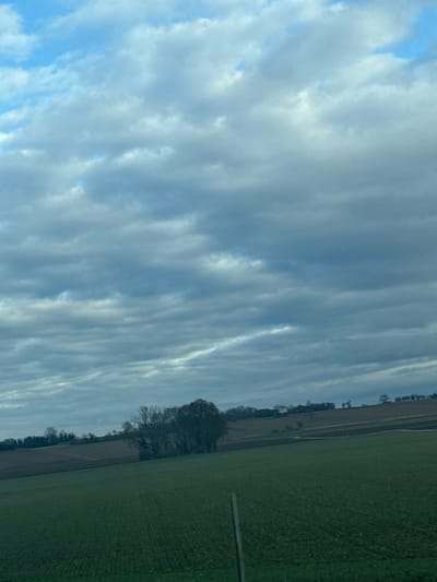 This image displays a rural landscape near Wolfisheim, France, under a partly cloudy sky. The upper two-thirds of the frame are dominated by a sky filled with grey and white stratocumulus clouds, interspersed with areas of lighter blue. A distinct, brighter horizontal band is visible through the clouds in the mid-right sky. The foreground features a large, dark green agricultural field with visible parallel cultivation rows, sloping upwards from the lower left towards the mid-right. A thin, dark, vertical post or stake is present in the lower center-right of this field. In the midground, a dense grouping of leafless deciduous trees forms a prominent copse. Beyond this, the landscape consists of additional agricultural fields, some appearing as brown, tilled earth and others exhibiting green growth, stretching across gently rolling hills towards a distant horizon line dotted with sparse trees. No individuals, animals, or active events are present within the scene.