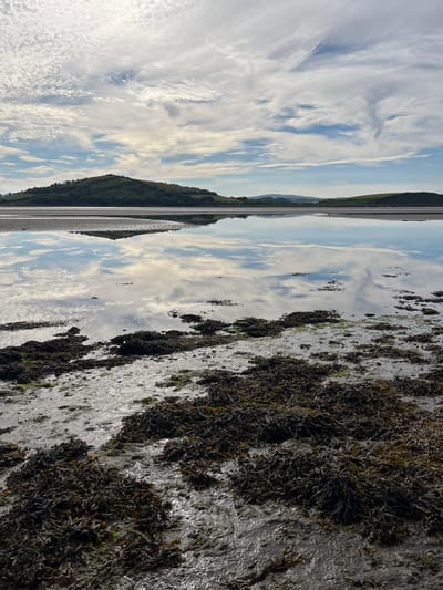The image depicts a serene coastal landscape, likely at low tide, with a calm body of water reflecting a cloudy sky and distant rolling hills. The foreground is covered in wet sand and dark, textured seaweed, suggesting a natural, undeveloped shoreline. The reflections in the water are clear, showing the shapes of the clouds and the silhouettes of the hills. In the background, green, treed hills rise gently from the water's edge, with a few smaller hills visible further in the distance. The sky is a mix of bright white clouds and patches of blue, indicating partly sunny conditions. The overall impression is one of tranquility and natural beauty. The location is identified as Dunuisce, Ireland.