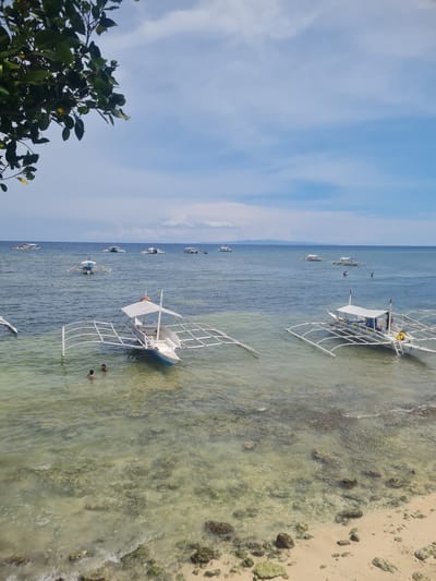 The image shows a calm, tropical beach scene in Panglao, Philippines. The water is clear and shallow, revealing the sandy bottom with scattered rocks and coral formations. Several traditional outrigger boats, known as "bancas," are anchored or drifting in the water. Two boats are particularly prominent in the foreground, both white with outriggers and canopies. Two individuals are visible in the shallow water near one of the boats, appearing to be swimming or wading. Further out in the sea, more bancas and possibly other vessels are scattered across the horizon. The sky is partly cloudy, with patches of blue sky visible amongst the white clouds. Lush green foliage from a tree is visible in the upper left corner of the frame, adding to the tropical ambiance. The shoreline is a light sandy color with some scattered rocks and debris.