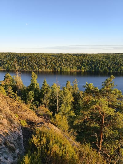 The image depicts a serene natural landscape under a clear blue sky with a sliver of the moon visible. In the foreground, a rocky, sun-drenched incline is covered with dry brush and low-lying green vegetation. Dominating the mid-ground are various evergreen trees, some appearing dry and skeletal, others lush and green, growing from the rocky terrain. A large body of dark water, likely a lake, stretches across the middle of the frame, reflecting the sky. The background is filled with a dense, unbroken expanse of dark green coniferous forest that stretches to the horizon. The scene appears to be a wilderness area, possibly a natural reserve or a remote natural landscape, consistent with the rural environment of Skriketorp, Sweden. There are no people or man-made structures visible. The lighting suggests it is either early morning or late afternoon, with the sun casting long shadows and highlighting the textures of the rocks and foliage.