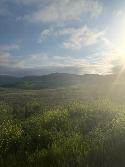 This is a photograph taken in Aghvani, Armenia, depicting a scenic landscape during the day. The image is oriented vertically, with the sun shining brightly from the top left, casting a warm, hazy glow over the scene.
The foreground is dominated by lush green grass and scattered yellow wildflowers, creating a vibrant texture. As the eye moves towards the background, a gently sloping hill or mountain rises, its contours softened by the atmospheric haze and light. The terrain appears to be cultivated in parts, with visible lines suggesting fields or terraces. On the left side of the image, a bright blue sky is visible, dotted with fluffy white clouds that are catching the sunlight. The overall impression is one of natural beauty and tranquility, possibly during spring or early summer given the abundance of wildflowers and green foliage. The time of day is likely late morning or early afternoon, judging by the high position of the sun and the intensity of its light. There are no visible people or objects, focusing entirely on the natural landscape. No text is visible in the image.