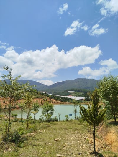 The image captures a tranquil scene in the city of Lac Duong, Vietnam. In the foreground, a grassy knoll slopes down towards a serene, light-blue lake. Scattered rocks and sparse vegetation dot the landscape. Several young trees, with slender trunks and leafy canopies, are positioned on the knoll and along the lake's edge. A small, evergreen tree stands prominently on the right side of the knoll.
Beyond the lake, the middle ground reveals a verdant hillside covered in trees and patches of reddish-brown earth. A series of white-roofed structures, possibly greenhouses or agricultural buildings, are visible nestled among the trees on the slopes. In the background, rolling, tree-covered mountains form a majestic silhouette against a bright blue sky dotted with fluffy white clouds. The overall atmosphere is peaceful and natural.