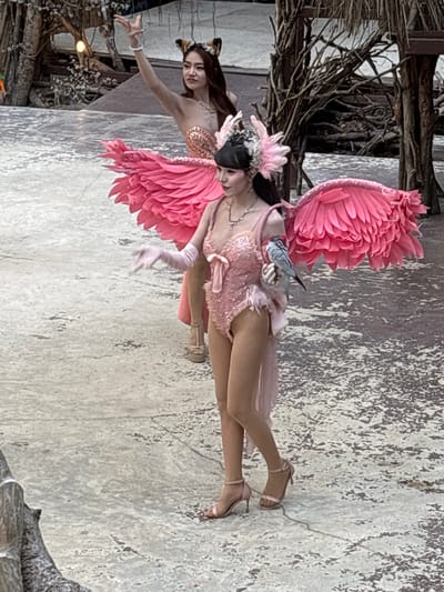 The image shows two people in costumes. The person in the foreground is dressed as a flamingo, with large pink feathered wings and a pink sequined leotard. They are wearing light pink heeled shoes and a feathery headdress. Their left hand is extended, and they are holding a small grey bird. The person behind them is wearing a gold sequined top and what appears to be cat ears. They are also reaching out with their left hand. Both individuals are on a textured, light-colored surface, possibly a stage. The background shows some blurred trees and what looks like stage lighting. The overall impression is of a performance or theatrical event. The image is vertically oriented.