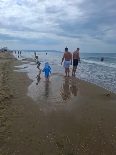 The image depicts a cloudy day at the beach in Vityazevo, Russia. In the foreground, two men are walking along the wet sand near the water's edge. Behind them, two young children are playing in shallow water. The beach is populated with other people in the distance, some swimming and others walking along the shore. The sea is calm with small waves. The sky is overcast with thick clouds. The overall scene suggests a typical summer day at a seaside resort.