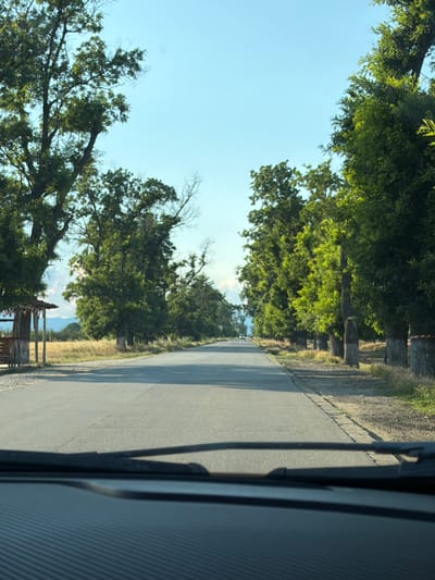The image shows a straight asphalt road lined with mature trees on both sides, creating a canopy effect over the road in some sections. The road appears to be in a rural or semi-rural area, possibly on the outskirts of Golyam Chardak, Bulgaria. In the foreground, the windshield wipers and dashboard of a vehicle are visible, indicating the photo was taken from inside a car. On the left side of the road, a small, rustic wooden shelter with a bench is present. The landscape beyond the trees on the left includes a field of dry grass and some distant hills under a clear blue sky. The trees on the right are also dense with foliage, and some of their trunks are painted with white and red bands, possibly for visibility or protection. The road itself shows some cracks and wear. There is a faint shadow of a tree across the road. In the distance, the silhouette of another vehicle can be seen on the road. The overall impression is a tranquil, tree-lined avenue, likely a common route in the region of Golyam Chardak.