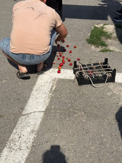 In Kamensk-Shakhtinsky, Russia, on an asphalt surface marked with a white line, a person wearing a light brown t-shirt and denim shorts squats down. Scattered strawberries lie on the ground around the person and a black plastic crate filled with strawberries, adorned with colorful ropes. The crate is positioned to the right of the person. The scene appears to be outdoors, with shadows cast on the ground indicating bright sunlight.
