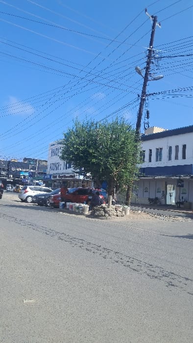 The image captures an urban street scene in Majengo ward, Kenya, under a clear blue sky. Numerous black utility wires crisscross overhead, originating from a dark utility pole on the right, which is equipped with two streetlights. The asphalt road in the foreground displays dark tire marks and a small white object resembling debris. In the midground, a medium-sized green leafy tree stands on the roadside. To the left of the tree, a white hatchback, a dark sedan, and a red SUV are parked, with a black tuk-tuk partially visible behind the white vehicle. Adjacent to the tree's base, multiple white and multicolored paint buckets are stacked on the ground, alongside a pile of rocks or concrete debris. A person is seated on the ground near these items, partially obscured by the red car. Buildings line the background: a multi-story structure with dark facades and "ETR SUPPLIES" signage is visible on the far left. Behind the tree, a white multi-story building features dark blue accents and vertical windows. To the right, a lighter-colored single-story building with multiple arched entrances shows an individual partially visible within one of the doorways. A motorcycle is parked on the sidewalk near this building.