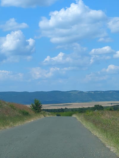 The image depicts a rural road leading through a landscape under a bright blue sky dotted with white clouds. The road is paved and shows signs of wear, with visible cracks. To the left and right of the road, tall grasses and vegetation grow, creating a natural border. In the mid-ground, a lone tree stands out against a backdrop of fields. Beyond the fields, a range of hills or mountains forms the horizon, characterized by dark green, forested slopes. The scene is serene and suggests a natural, undeveloped environment. There are no people or animals visible in the image. The location is identified as being in the vicinity of Hadzhiite, Bulgaria.