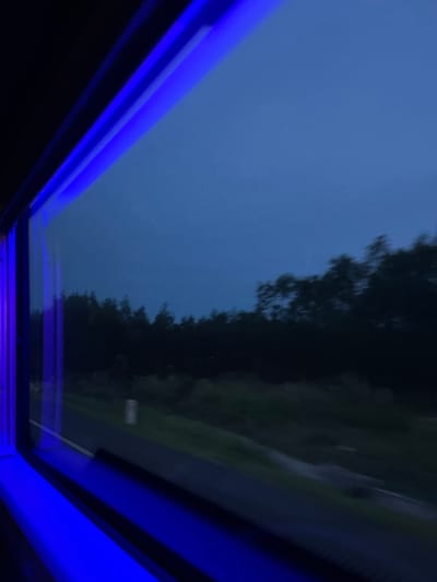 The image is a nighttime or dusk shot taken from inside a vehicle, looking out a window. The dominant feature of the foreground is the vibrant blue illumination emanating from the vehicle's interior, casting bright blue light across the window frame and a portion of the window itself. Outside the window, the landscape is dark and appears to be a rural or semi-rural area. A line of trees is visible in the middle ground, silhouetted against a deep blue, overcast sky. The trees are blurred, suggesting movement. A dark road or path is visible in the lower part of the scene, running horizontally. There is no indication of specific locations within Dong Nai City, Vietnam. The image is devoid of people.