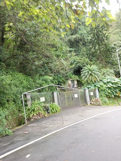 The scene is set on a dark grey asphalt road in the city of Boommlog, Bhutan, which curves from the lower right towards the center-left. A continuous white line marks the right edge of the road. Scattered organic debris and small particles are visible on the road surface.
A closed metal gate, approximately 2 meters in height, stands on the right side of the road. It comprises numerous dark vertical slats and is flanked by concrete pillars. An overhead structure fashioned from light-colored thin metal poles forms an incomplete rectangular archway spanning the gate entrance. This structure is supported by additional diagonal poles anchored into the ground adjacent to the road, with two vertical support poles embedded directly into the asphalt.
To the left of the gate, a steep embankment is covered in dense, verdant foliage, including ferns. To the right of the gate, smaller shrubs and broadleaf plants grow. Two small, rectangular white signs are affixed to the gate structure: one on the left gate panel displays partially legible text, while the other on the right pillar is obscured.
Immediately behind the gate, situated on the uphill embankment, is a small, light-colored building, possibly a utility shed, with a dark, recessed entrance. Its roof appears overgrown with vegetation. The terrain behind and surrounding the gate rises steeply, covered by dense, multi-layered forest featuring broadleaf trees, ferns, and taller conifer-like trees. A tall, white utility pole or streetlamp standard is partially visible on the far right, rising from behind the dense foliage. No individuals are present in the image. The road surface appears wet, suggesting recent precipitation or high humidity.