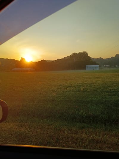 A wide shot captures a rural landscape at sunrise, with the sun's rays illuminating a field of green grass. In the background, a treeline of dense foliage is visible, with a long, rectangular building positioned in the middle distance. A utility pole with wires stretches across the horizon. The sky above transitions from a pale yellow near the horizon to a light blue at the top. The photograph appears to be taken from inside a vehicle, with a portion of the car's interior visible in the foreground, including a circular object and a dark horizontal line. The overall scene suggests a peaceful morning in a rural area.