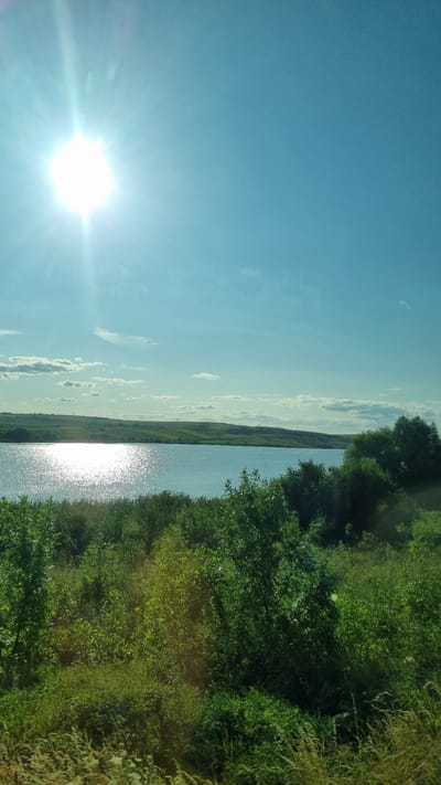 The image captures a serene natural landscape under a bright, sunny sky. The sun, a prominent feature, is shining intensely in the upper left portion of the frame, casting a brilliant glare. A calm body of water, likely a lake or a large pond, occupies the middle ground, reflecting the sunlight with a shimmering effect. The shoreline is lined with lush green vegetation, including trees and bushes, creating a dense, verdant foreground. In the distance, rolling hills are visible, covered in green fields, suggesting a rural or semi-rural setting. The sky is a clear, vibrant blue with a few scattered white clouds. The scene evokes a peaceful, summery atmosphere. The image appears to be a photograph taken from a moving vehicle, possibly a car or a train, as indicated by the slight blur in the foreground vegetation. There are no people or man-made structures clearly visible in the image, focusing entirely on the natural environment.