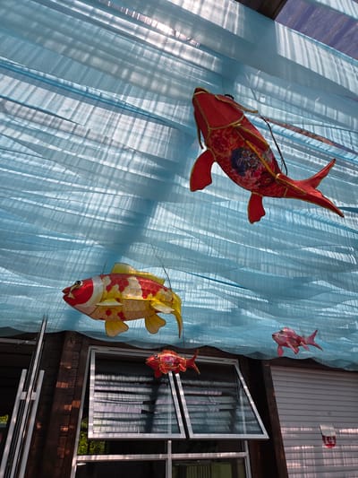 The image displays a vibrant decorative arrangement featuring multiple fish-shaped lanterns and translucent light blue fabric, set in Jiejinkou, China. Four lanterns are prominent, creating the illusion of fish swimming.

In the foreground, a large red fish lantern, adorned with elaborate gold trim and colorful floral patterns, hangs prominently on the left. Below and to its right, a large koi-shaped lantern, primarily yellow with red and white scales and a striking red face, is suspended. Two smaller, lighter pink or reddish fish lanterns are visible further back on the right side of the frame, one near the top and another centrally positioned.

The backdrop consists of a sheer, light blue fabric draped in vertical folds, reminiscent of rippling water. Strong, diagonal patterns of light and shadow are cast across this fabric, indicating bright sunlight from an unseen source. To the right, a section of a building is visible, featuring dark wooden planks at the bottom and white horizontal siding above. An open window with multiple panes reflects the bright surroundings, and a white horizontal railing or bar runs below it.

The scene conveys a sense of festivity and cultural decoration, typical of East Asian celebrations where fish lanterns often symbolize prosperity and good fortune. The bright lighting suggests it is daytime, likely a clear and sunny day. No visible text is present in the image.