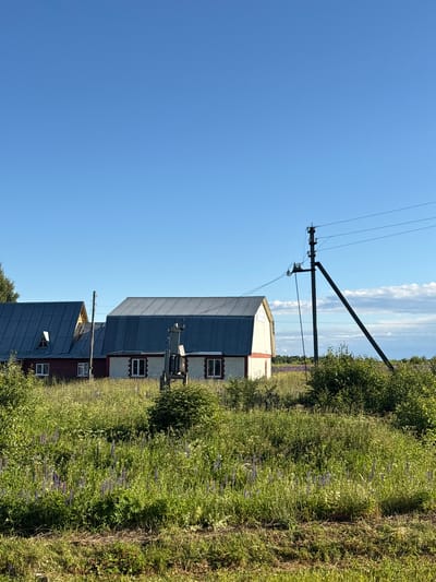 The image depicts a rural landscape on a clear, sunny day in the city of Ostrovskoye, Russia. In the foreground, tall, green grass and various wildflowers, predominantly purple lupine, cover the ground. A dirt path or road runs horizontally across the bottom of the frame.
Two houses are visible in the middle ground. The house on the left has a red wooden base and a dark, corrugated metal roof with a triangular dormer window. The house on the right is lighter in color, with a white and light-colored brick facade and a similar dark, corrugated metal roof. Both houses have visible windows.
A prominent utility pole with power lines stands to the right of the houses, leaning slightly. It is made of dark wood and has insulators and wiring attached. Behind the houses, a dense line of green bushes and trees forms the horizon, with hints of a further field of purple flowers visible in the distance. The sky is a bright, clear blue with a few scattered, wispy white clouds. The scene conveys a sense of peaceful, rural life in the Russian countryside.