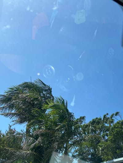 The image presents an upward view through a vehicle's windshield, capturing a clear blue sky and abundant green vegetation. The upper two-thirds of the frame are dominated by a bright, cloudless blue sky, overlaid with reflections originating from the vehicle's interior. These reflections include a reddish-orange, irregularly shaped object positioned in the upper left quadrant, a square green object with white markings in the upper right quadrant, and multiple circular or curvilinear patterns consistent with dashboard components or interior lights.
The lower third of the image features a dense canopy of green foliage. Several palm trees are prominent, their fronds appearing angled or wind-swept. Other broadleaf trees are visible towards the right side of the frame. The scene is brightly illuminated by direct sunlight, indicating daytime conditions. There are no individuals, overt actions, or interactions depicted. This scene is located within the Wollongong City Council area, Australia.