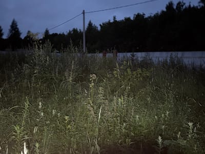The image depicts an outdoor scene at dusk or dawn, characterized by low light conditions. The foreground is dominated by tall, overgrown vegetation, including various types of grasses and weeds. In the background, a white fence stretches horizontally across the frame, with a dark line of trees forming a treeline behind it. A utility pole with wires is visible against the darkening sky. The scene appears to be located in a rural or semi-rural area, possibly on the outskirts of Vrazheskoe, Russia, given the context provided. There are no visible people or animals in the frame, and no discernible actions or interactions are taking place. The overall impression is one of natural, untamed growth in a quiet, undisturbed environment.