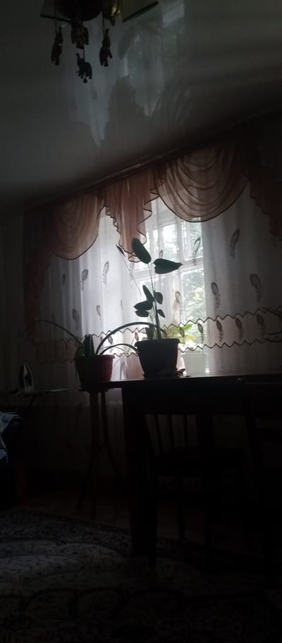 The image depicts an indoor scene, possibly a room, with a window covered by decorative sheer curtains. Several potted plants are visible on a table placed in front of the window, silhouetted against the light. To the left, an ironing board with an iron is set up, suggesting domestic activity. In the upper part of the image, a mobile with elephant figurines hangs from the ceiling, casting shadows. The overall lighting is dim, with the window area being the brightest. The scene appears to be in a residential setting.