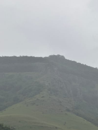 The image shows a distant view of a mountain range under an overcast sky. The mountains are covered in dense green foliage, with some rocky outcrops visible on the slopes. The sky is a uniform light gray, suggesting a cloudy or foggy day. The overall scene is muted in color, with greens and grays dominating the landscape. There are no people or structures visible in the image. The image appears to be taken from a distance, looking up at the mountains.