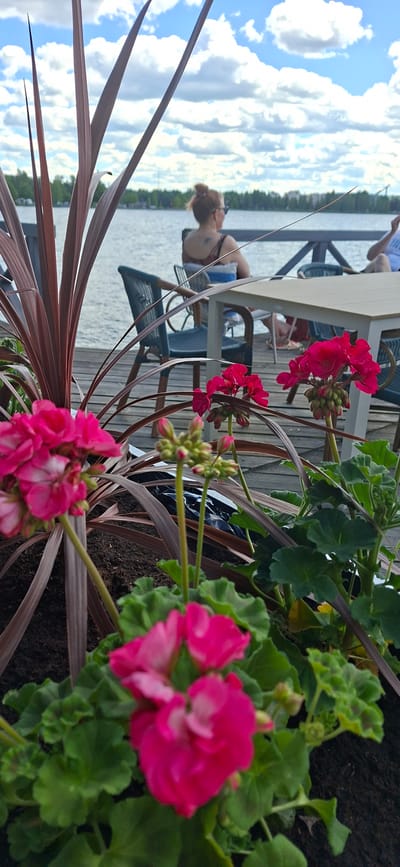 The image captures a close-up view of bright pink geraniums in bloom, with their vibrant petals contrasting against lush green foliage. In the background, a serene body of water is visible, reflecting the bright, cloudy sky. A wooden deck runs along the water's edge, furnished with outdoor seating.

In the middle ground, two people are seated at a table on the deck. One person, a woman with her hair tied up, is leaning back, appearing relaxed. She has a tattoo visible on her back. The other person is partially obscured. The overall scene suggests a leisurely day spent outdoors.

The time of day appears to be daytime, indicated by the bright sunlight and clouds. The weather seems pleasant, suitable for outdoor activities. The setting is likely a waterfront cafe or restaurant in Lahti, Finland, given the presence of a deck, water, and outdoor seating. The focus on the flowers in the foreground suggests a picturesque and possibly well-maintained environment. No visible text is present in the image.
