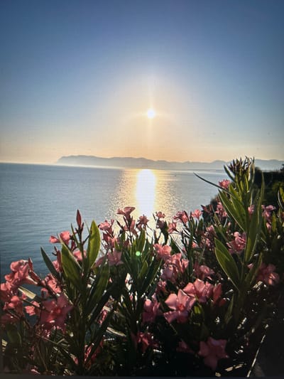 The image depicts a serene coastal landscape with the sun setting over the sea, casting a shimmering reflection on the water's surface. In the foreground, a lush cluster of pink oleander flowers with green leaves frames the scene, adding a vibrant splash of color. The background features a distant, hazy mountain range, possibly the Zingaro Nature Reserve, as seen from the coastline of Castellammare del Golfo, Italy. The sky is a gradient of soft blue and warm orange hues, indicating the twilight hour. The overall atmosphere is peaceful and idyllic, capturing the natural beauty of the Sicilian coast.