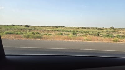 An eye-level, wide shot shows a dry, dusty, arid landscape with sparse vegetation under a pale blue sky. A paved road runs horizontally across the lower third of the frame, with a single white line marking the center. To the right of the road, a fence constructed of metal posts and wire runs into the distance, demarcating an area of scrub brush and dry grass. Beyond the fence, the land rises gently, covered with low green shrubs and patches of taller, dry grass. A few scattered trees are visible in the distance. The scene appears to be located in a rural area.
