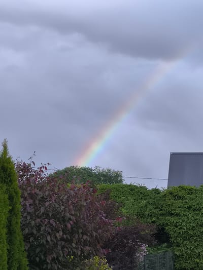 This is a vertical, medium shot photograph taken in Alliku, Estonia, featuring a rainbow arcing across a cloudy sky. In the foreground, there is dense green foliage and a shrub with dark red leaves. To the right, the dark gray, corrugated roof of a building is visible. The sky is overcast with muted gray clouds, and the rainbow appears as a diagonal band of pastel colors.