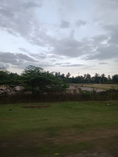 The scene is an outdoor landscape in Keudearon, Indonesia, under an overcast sky. The upper two-fifths of the image are dominated by a dense cloud cover of varying gray and white tones. The horizon is marked by a continuous band of dark green foliage, primarily consisting of numerous tall palm trees and other dense tropical trees. In the mid-ground, a blurred mass of bright green leaves is prominent on the left, indicating motion relative to the camera. Beyond the tree line, an expanse of lighter-toned ground, possibly dirt or dry grass, extends into the background, with several small, indistinct dark objects scattered across it. The foreground, occupying the lower half of the image, is a vibrant green grassy field exhibiting significant horizontal motion blur, consistent with being photographed from a moving vehicle. No individuals or specific man-made structures are clearly identifiable.
