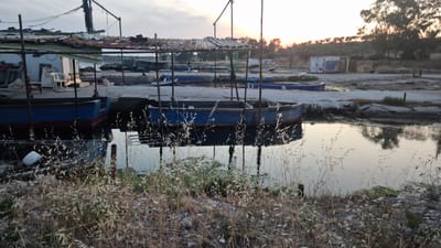 The image depicts a waterfront scene at what appears to be a fishing harbor or an area with docked boats. The primary subjects are several blue and red boats, some partially submerged or moored along a concrete embankment. One prominent blue boat is in the foreground, its reflection visible in the calm water. Behind the boats, there is a makeshift shelter with a corrugated metal roof, supported by wooden posts. Various objects like chairs and scattered debris are present, suggesting an informal or disused area.
The setting is a coastal area, likely in Taranto, Italy, given the provided context. The time of day is either dawn or dusk, as indicated by the soft, diffused light and the warm hues in the sky. The weather appears calm, with still water reflecting the surroundings. In the background, there are some small buildings, trees, and a hilly landscape.
The scene evokes a sense of stillness and perhaps abandonment or a quiet end to a day's work. There are no visible people, but the presence of the boats and the shelter implies human activity related to fishing or maritime operations. The natural elements, like the dry grasses in the foreground and the trees in the background, contribute to the overall rustic and somewhat weathered atmosphere. No visible text is present in the image.