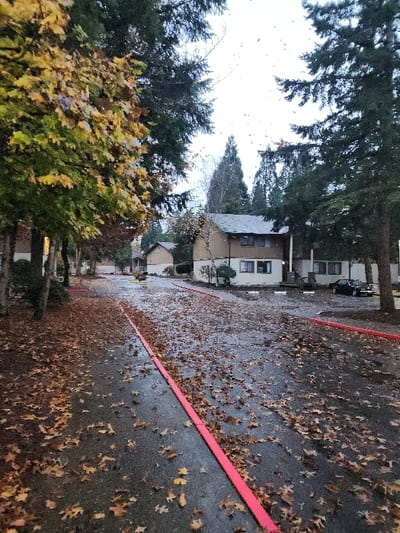 A rainy road covered with fallen leaves stretches between lines of red tape. Houses line the left side of the road, partially obscured by tall trees, some displaying autumn foliage. The sky is overcast. A car is parked by one of the houses. The perspective gives a sense of depth, drawing the eye towards the distance where the road seems to converge.