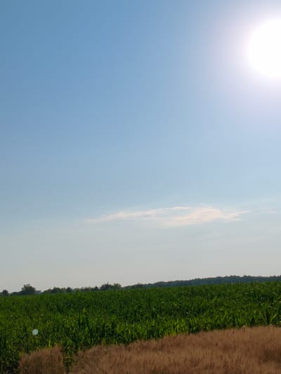 A vertical, full-frame, outdoor shot shows a bright, sunny day in a rural location in Ustyvytsya, Ukraine. The sky is a pale, clear blue, with a bright, white sun visible in the upper right corner. A thin, wispy cloud stretches horizontally across the middle of the sky. Below the sky is a field of bright green crops, likely corn, with a line of trees in the distance. In the foreground, there is a patch of dry, brown wheat. The overall impression is one of a serene and idyllic countryside.