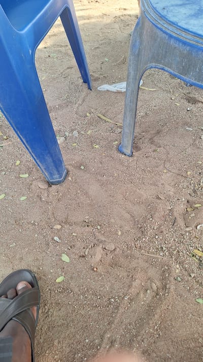 The image shows a close-up view of two blue plastic chairs partially submerged in sandy ground. The ground is a mixture of sand and small pebbles, with a few fallen leaves scattered around. In the lower right corner of the image, a person's foot wearing a dark brown sandal is visible, resting on the sandy ground. The foot appears to be positioned near the leg of one of the blue chairs. The scene suggests an outdoor setting, likely a casual area such as a park or a backyard in Kporva, Nigeria. The lighting suggests it could be daytime. No specific activity is evident, but the presence of the chairs and the sandal implies that someone might be sitting or has recently been sitting in the area. There is no visible text in the image.