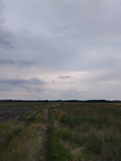 The image depicts a serene, overcast landscape in Ustyvytsya, Ukraine, likely captured during the late afternoon or early evening due to the soft, diffused light. The scene is dominated by a vast, open field with a dirt path winding through it, suggesting a rural or agricultural setting. The field itself is a mix of dry, tall grasses and darker, cultivated earth on the left side, possibly indicating recently plowed land.

In the distance, a dense line of trees forms a dark horizon, separating the fields from the sky. The sky is a prominent feature, filled with a blanket of heavy, grey clouds that obscure the sun, creating a subdued and slightly somber mood. There are no people or specific objects visible that suggest a particular activity or event. The overall impression is one of quiet solitude and natural beauty, characteristic of the Ukrainian countryside. The lack of direct sunlight and the muted colors contribute to a peaceful, almost melancholic atmosphere. No text is visible in the image.