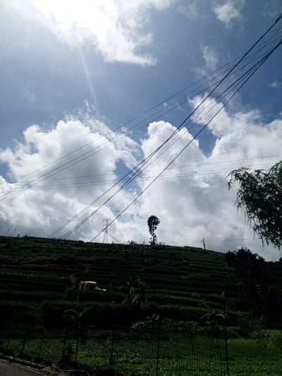 A vibrant landscape shows a terraced hillside under a sky filled with billowing white clouds. Overhead, power lines stretch across the frame, leading to a distant electrical tower. A slender tree stands prominently atop the hill. The foreground features lush greenery and a wire fence, adding depth to the view. The scene is bathed in natural light, creating a vivid contrast between the dark green hillside and the bright sky.