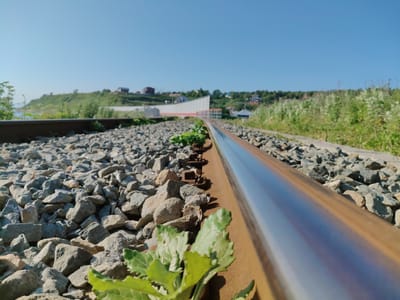 The image depicts a low-angle shot of railroad tracks in Tret’ya Pad’, Russia, on a clear, sunny day. The foreground is dominated by the rusted steel rail and the gravel ballast surrounding it. A small plant with green leaves is growing between the rail and the ballast, close to the camera. The tracks recede into the distance, curving slightly. In the mid-ground, beyond the tracks, is a green, grassy hill dotted with houses and trees. A modern, curved white and red structure, possibly a building or part of a facility, is visible on the hillside. The sky is a clear, pale blue. The scene suggests a rural or semi-rural setting within the town. There are no people or animals visible in the image.