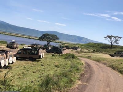 A dirt road winds through a grassy field near a body of water. In the background are a series of hills. A line of safari vehicles are parked along the road, facing the water. The vehicles are mostly beige and green, with some having open tops. One vehicle is parked on the right side of the road, facing away from the other vehicles. There are several people standing around the vehicles, and some are getting in and out of the vehicles. The scene is located at the coordinates -3.211 latitude and 35.603 longitude, in Ilturot Lorkereyan, Tanzania. The sky is blue with a few white clouds. There is a single tree in the foreground, and a larger tree on the left side of the image. The scene is sunny and bright.