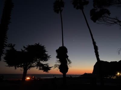 The image depicts a twilight scene on a beach in Old Malibu, United States of America. Silhouetted against a gradient sky, ranging from deep indigo overhead to soft orange near the horizon, are several palm trees and a large evergreen tree. A campfire burns on the beach, casting a warm glow and illuminating a small group of people gathered around it. The ocean is visible in the background, with gentle waves lapping the shore. The overall impression is one of a serene evening gathering by the sea, with the natural beauty of the coastline enhanced by the fading light.