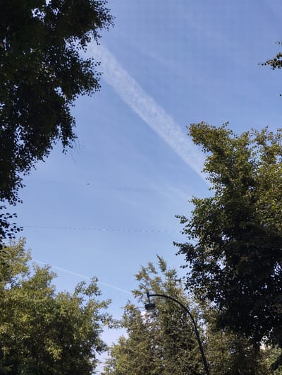 The image captures a clear blue sky framed by the dark green foliage of trees. A faint contrail, likely from an aircraft, stretches diagonally across the sky from the upper left to the lower right. Below the contrail, several horizontal lines, possibly power lines or telephone wires, are visible, with a small bird perched on one of them. In the lower right quadrant of the image, a black lamppost with a light fixture curves upwards, also silhouetted against the sky and surrounded by the lush green leaves of trees. The scene appears to be an outdoor view within the city of Kingisepp, Russia, with the elements suggesting a typical urban environment with natural elements.