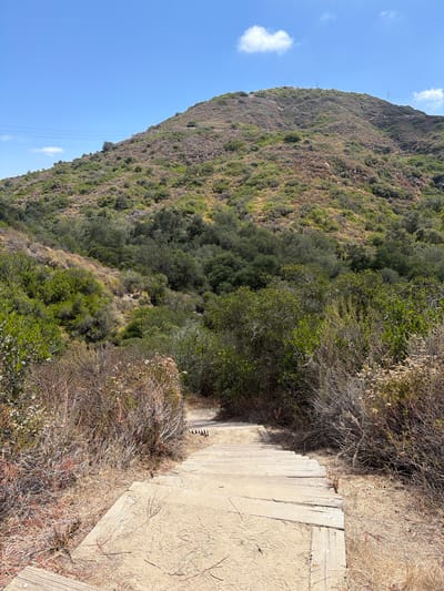 The image depicts a view looking down a wooden staircase on a hiking trail in Laguna Beach, California, USA. The trail is bordered by dry brush and vegetation. In the background, a green and brown hillside rises under a clear blue sky with a few wispy clouds. Power lines are visible traversing the hillside. The wooden steps are worn and appear to be made of planks laid horizontally. The ground around the stairs is sandy and dry.