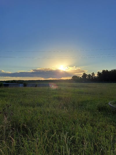 This vertical, eye-level, full-shot image depicts a rural scene in Chernetsk, Russia, at sunset. The sky is a gradient of deep blue at the top, transitioning to lighter shades of blue and yellow near the horizon. The sun, partially obscured by clouds, casts golden rays across the scene. In the mid-ground, a field of tall green grass stretches towards a line of dark trees. A long, low-profile building with a corrugated metal roof is visible in the left mid-ground, situated within the field. Overhead, thin power lines stretch across the upper portion of the frame. The foreground is dominated by the lush, untamed green grass, with some dried stalks and various plants. The overall impression is one of a tranquil, natural landscape bathed in the warm light of the setting sun.